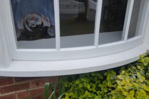 Curved Sash Window After Repair